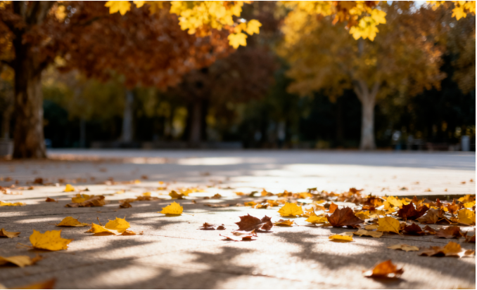 容恩扫地车助力秋季户外落叶清扫